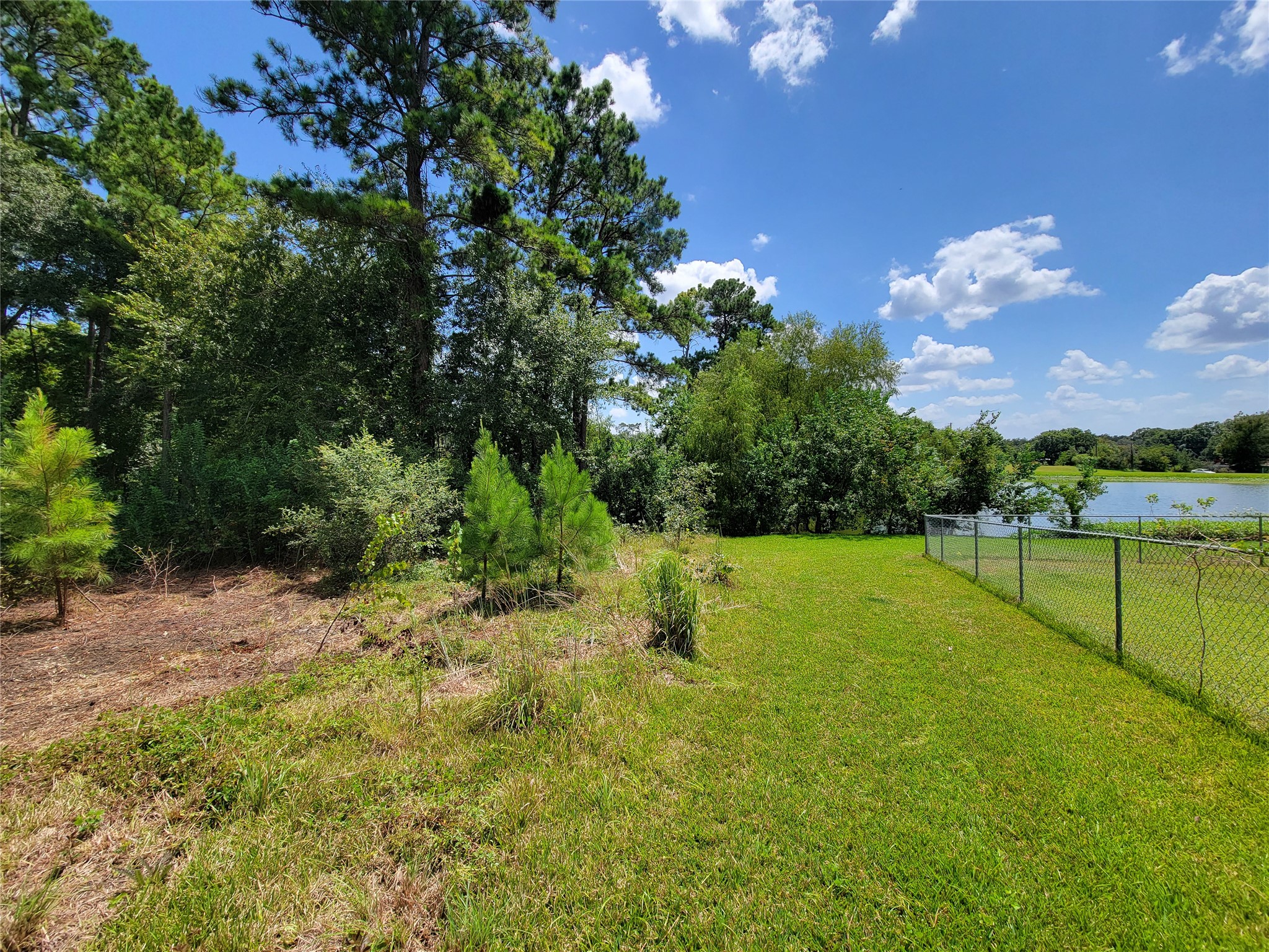 0 Tri Lakes Road Montgomery, TX 77316 - Photo 6 of 20