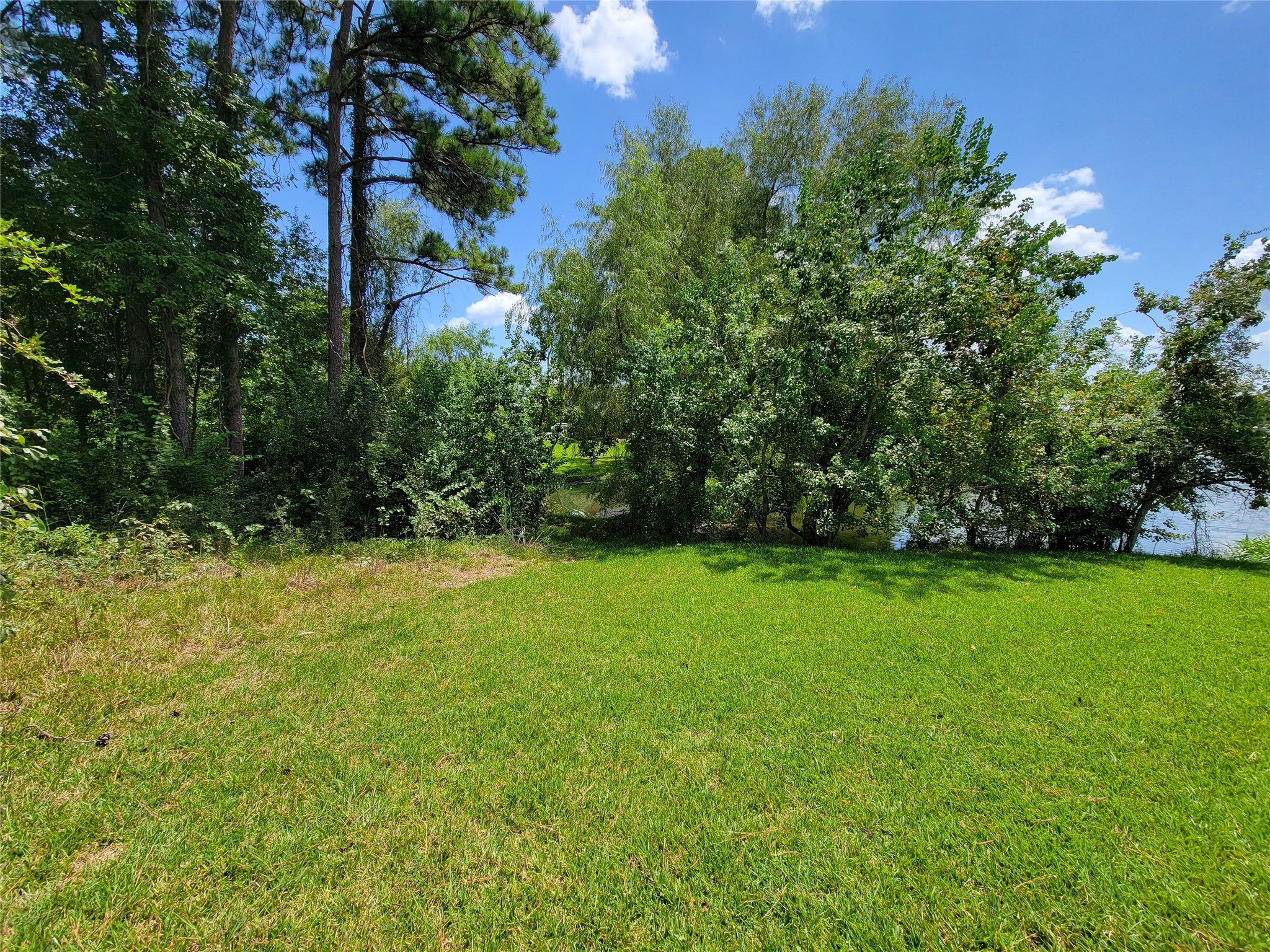 0 Tri Lakes Road Montgomery, TX 77316 - Photo 7 of 20