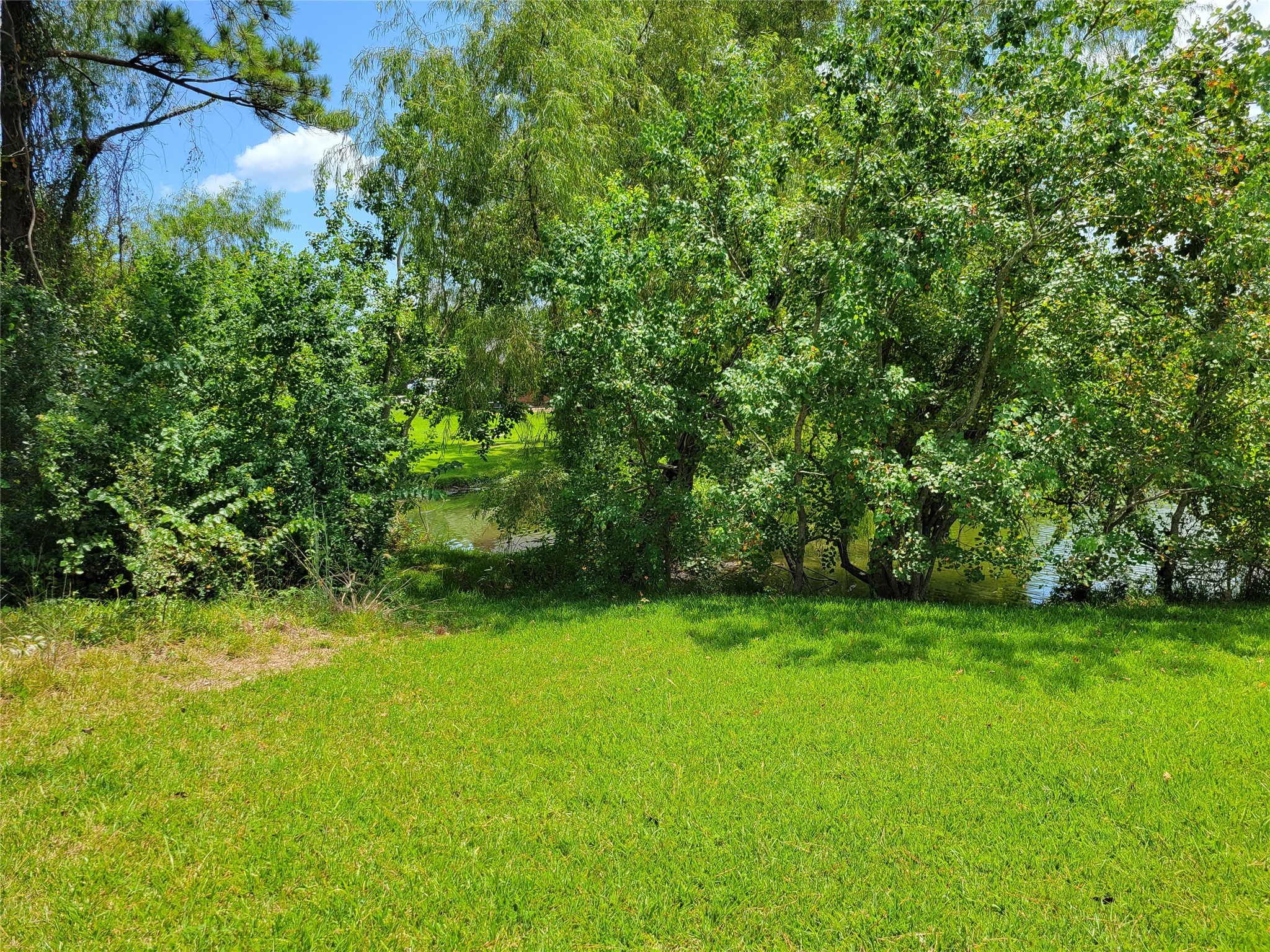 0 Tri Lakes Road Montgomery, TX 77316 - Photo 8 of 20