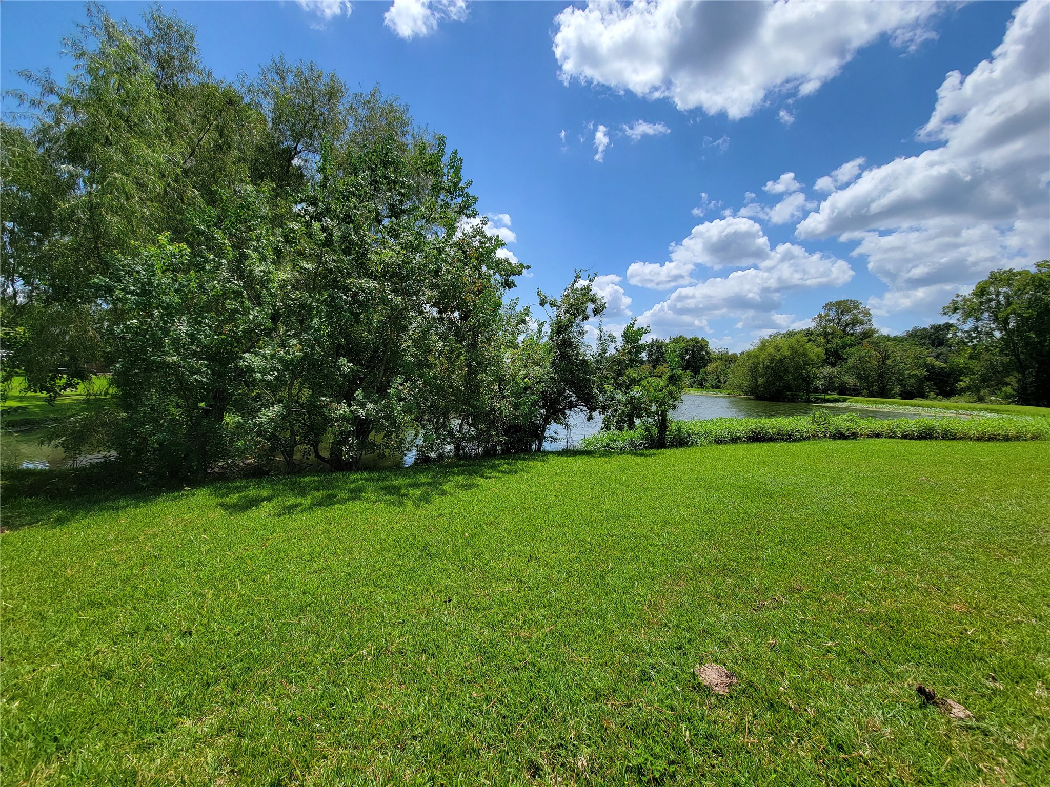 0 Tri Lakes Road Montgomery, TX 77316 - Photo 9 of 20