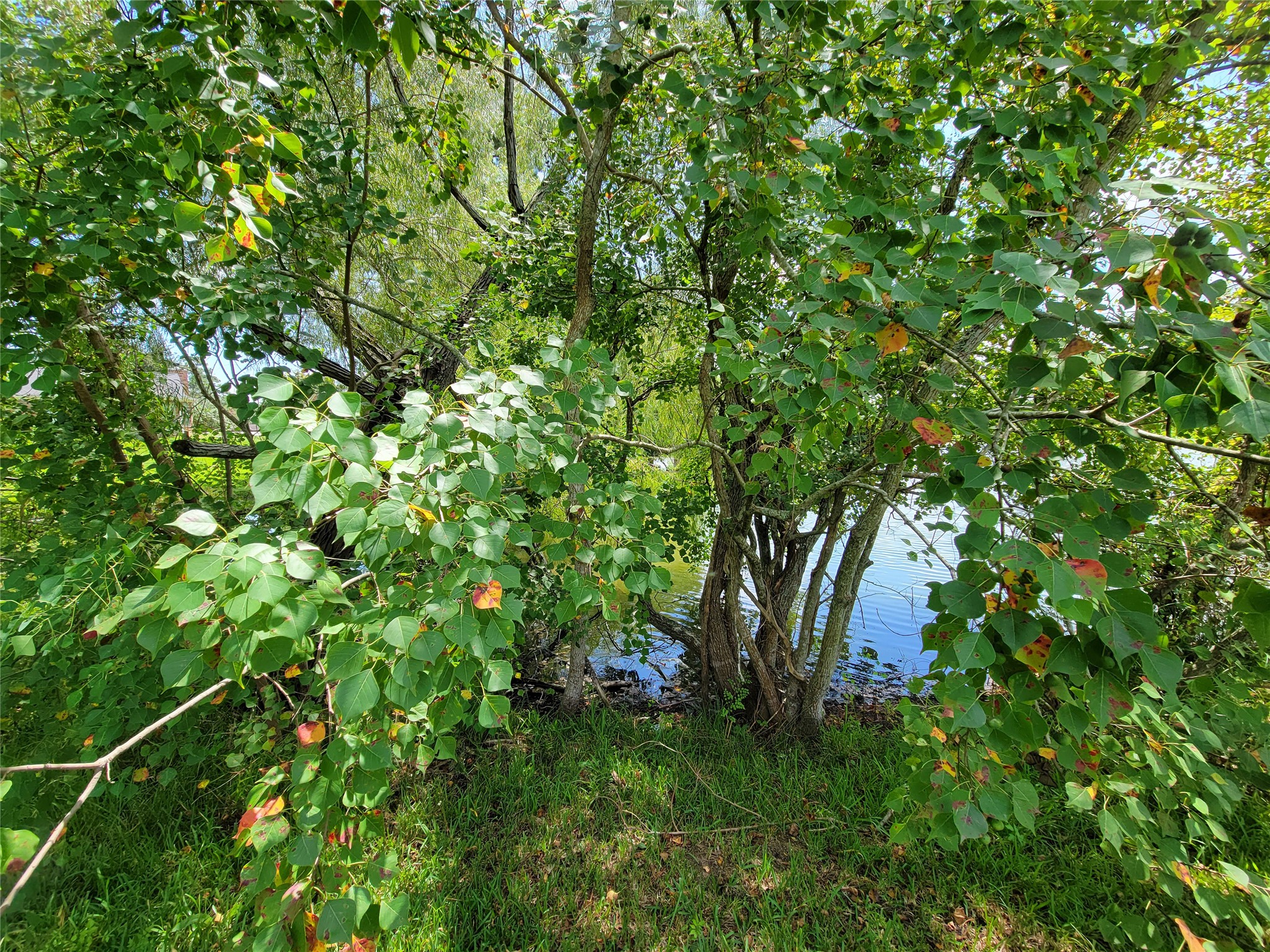 0 Tri Lakes Road Montgomery, TX 77316 - Photo 10 of 20