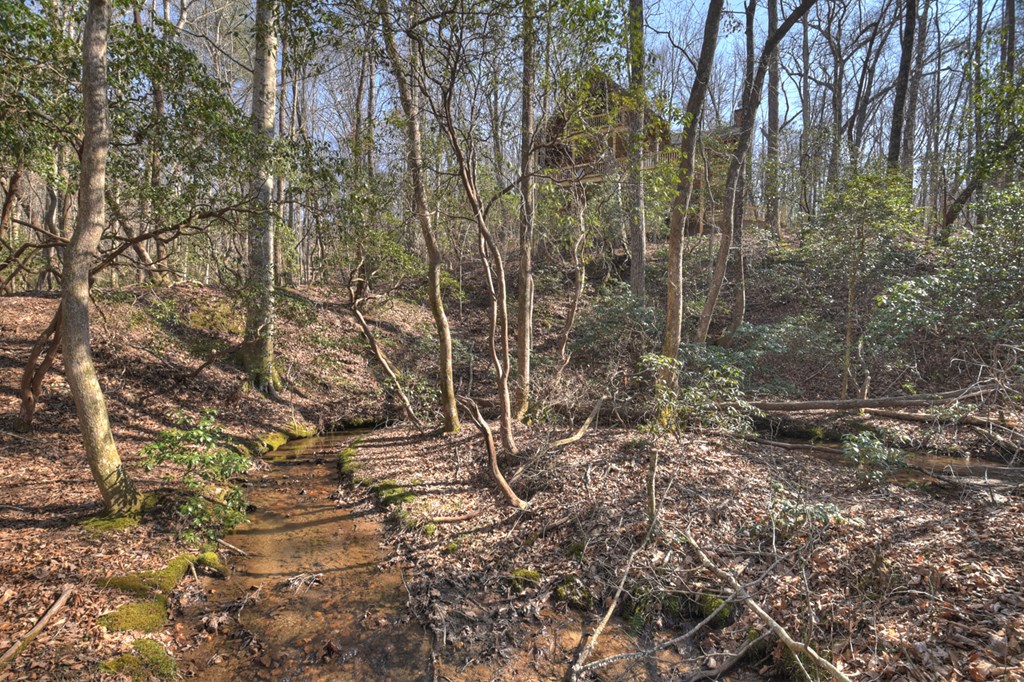 811 Mangum's Trail Blue Ridge, GA 30513 - Photo 17 of 70