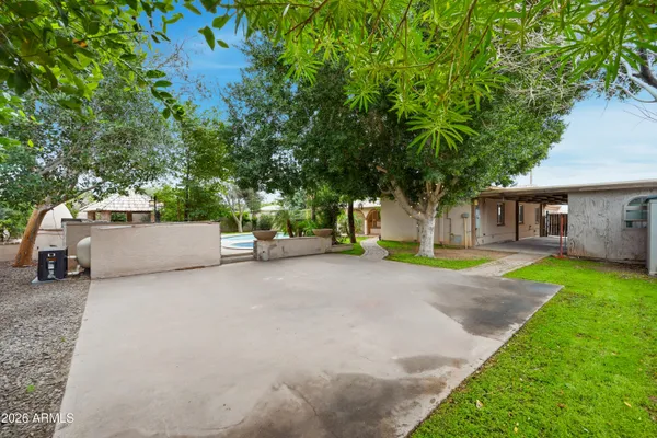 a view of a yard with plants and a large tree