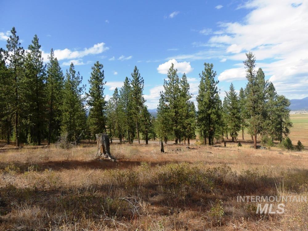 Lot 24 Timber Ridge New Meadows, ID 83654 - Photo 12 of 17
