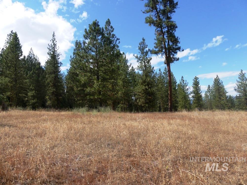 Lot 24 Timber Ridge New Meadows, ID 83654 - Photo 15 of 17