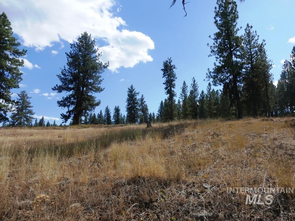 Lot 24 Timber Ridge New Meadows, ID 83654 - Photo 4 of 17