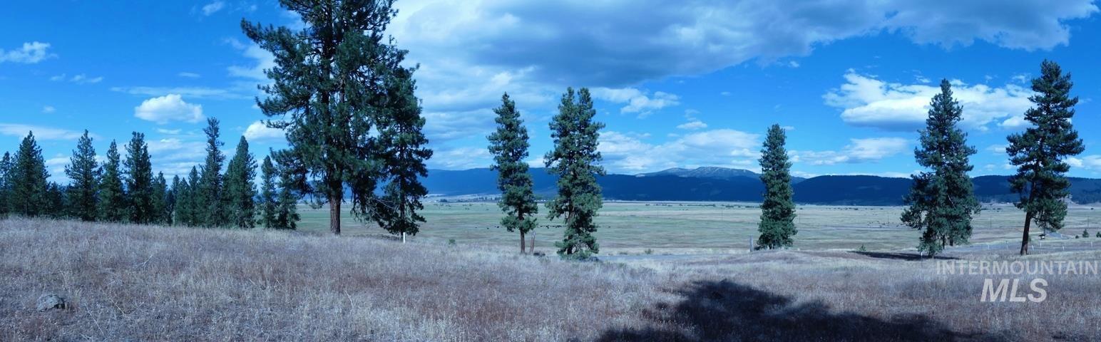 Lot 24 Timber Ridge New Meadows, ID 83654 - Photo 6 of 17