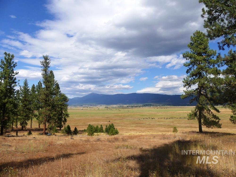 Lot 24 Timber Ridge New Meadows, ID 83654 - Photo 7 of 17