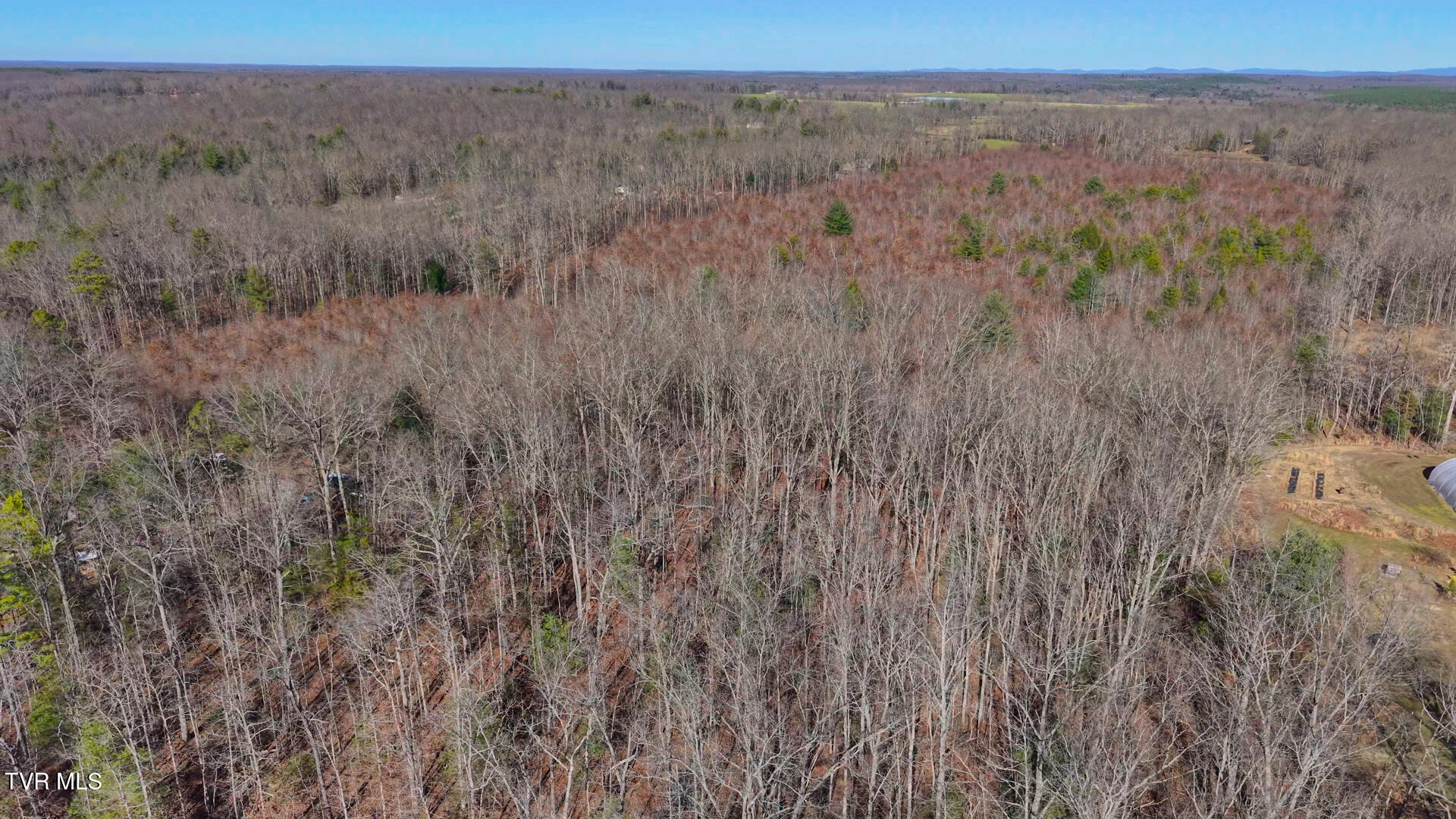 0 Hill Road Deer Lodge, TN 37726 - Photo 15 of 22 14