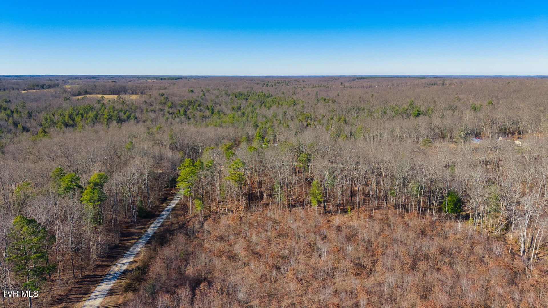 0 Hill Road Deer Lodge, TN 37726 - Photo 3 of 22 DJI_20260227155047_0055_D_SOP