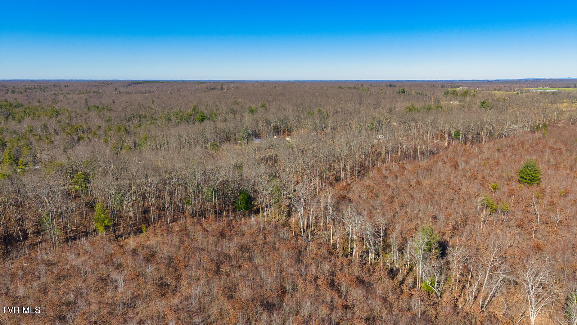 0 Hill Road Deer Lodge, TN 37726 - Photo 4 of 22 DJI_20260227155050_0056_D_SOP