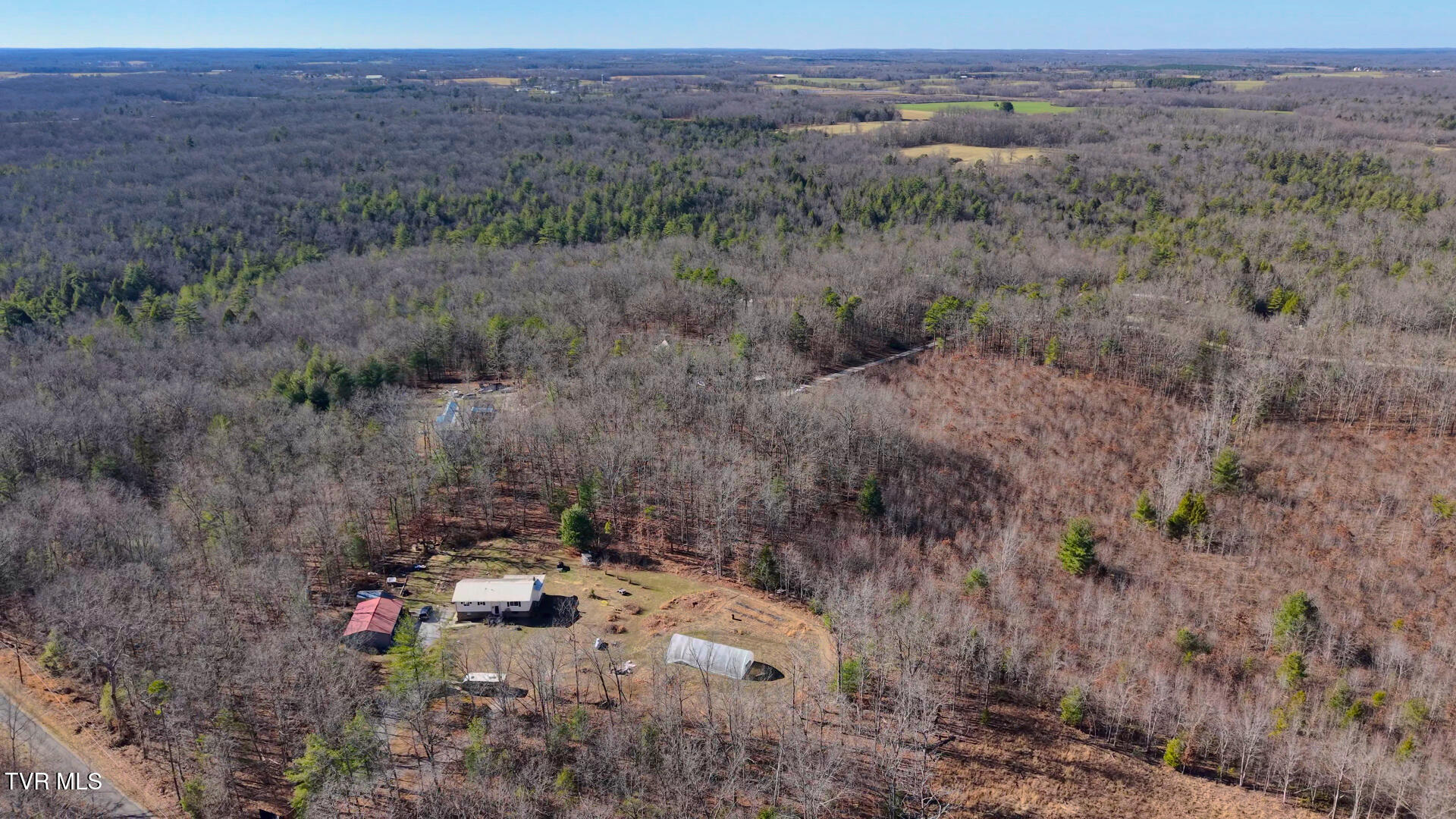 0 Hill Road Deer Lodge, TN 37726 - Photo 8 of 22 6