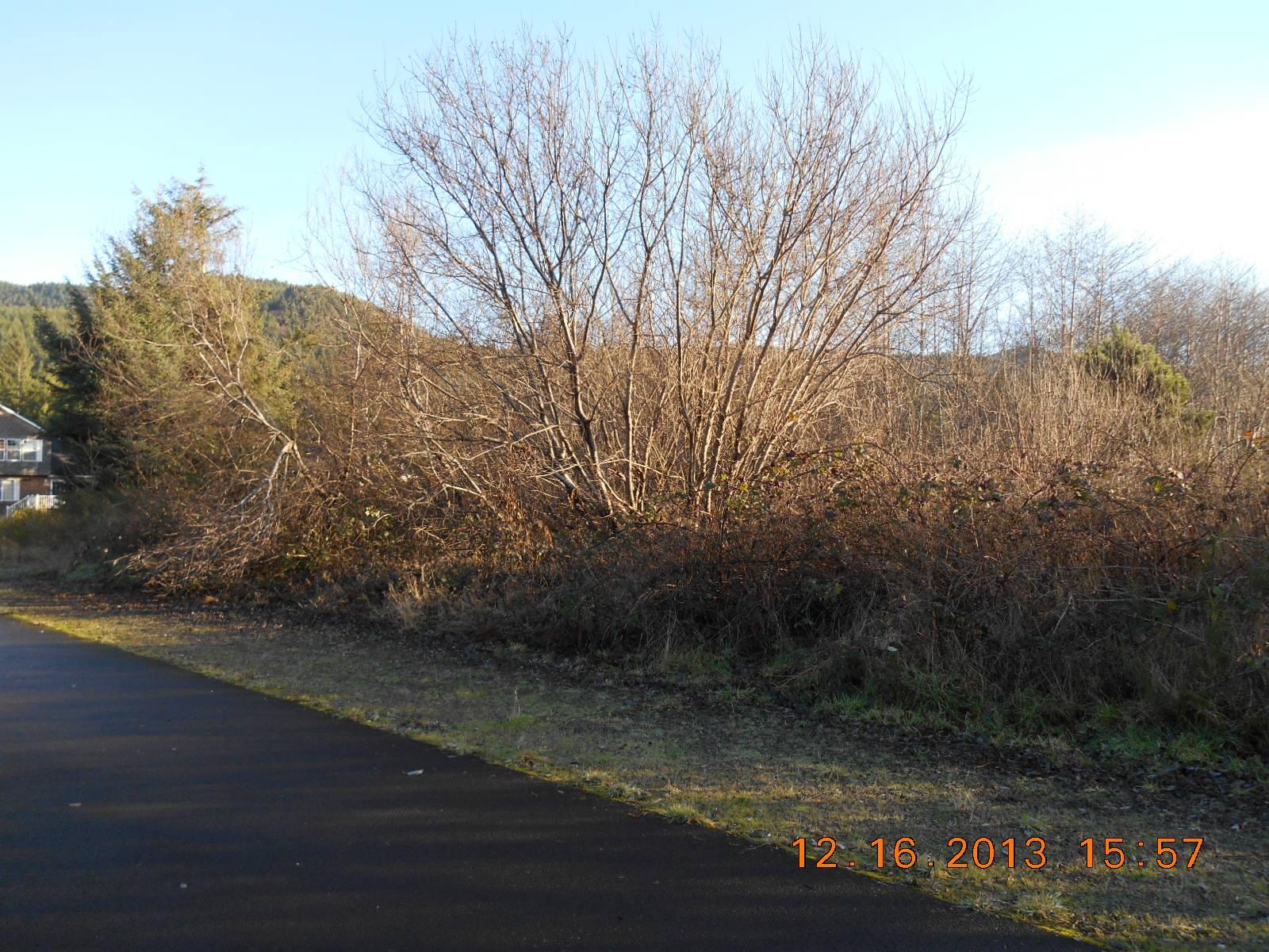 Section Line Street Rockaway Beach, OR 97136 - Photo 6 of 7 6