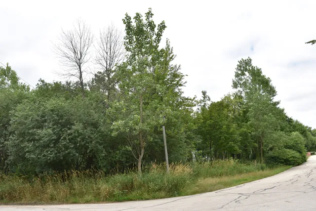 a view of a lake from a yard