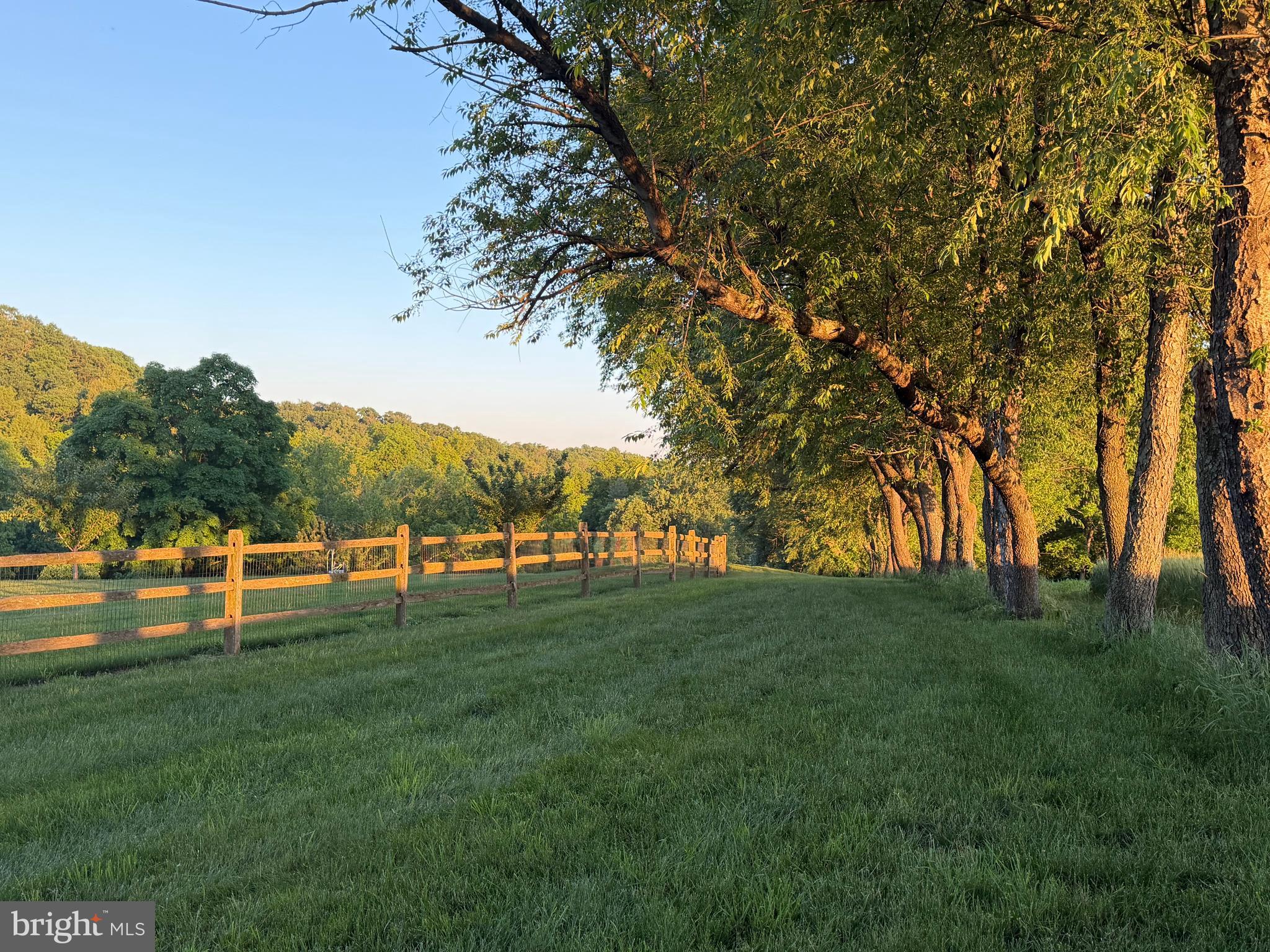 3646 Meadow View Road Manheim, PA 17545 - Photo 6 of 56 a view of field with trees in the background