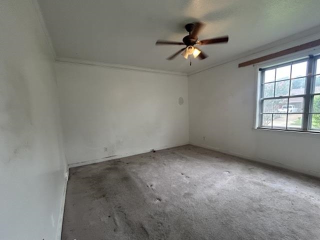 1917 Finley Road Memphis, TN 38116 - Photo 9 of 16 Spacious room featuring a multi-pane window, ceiling fan with integrated lighting, and crown molding