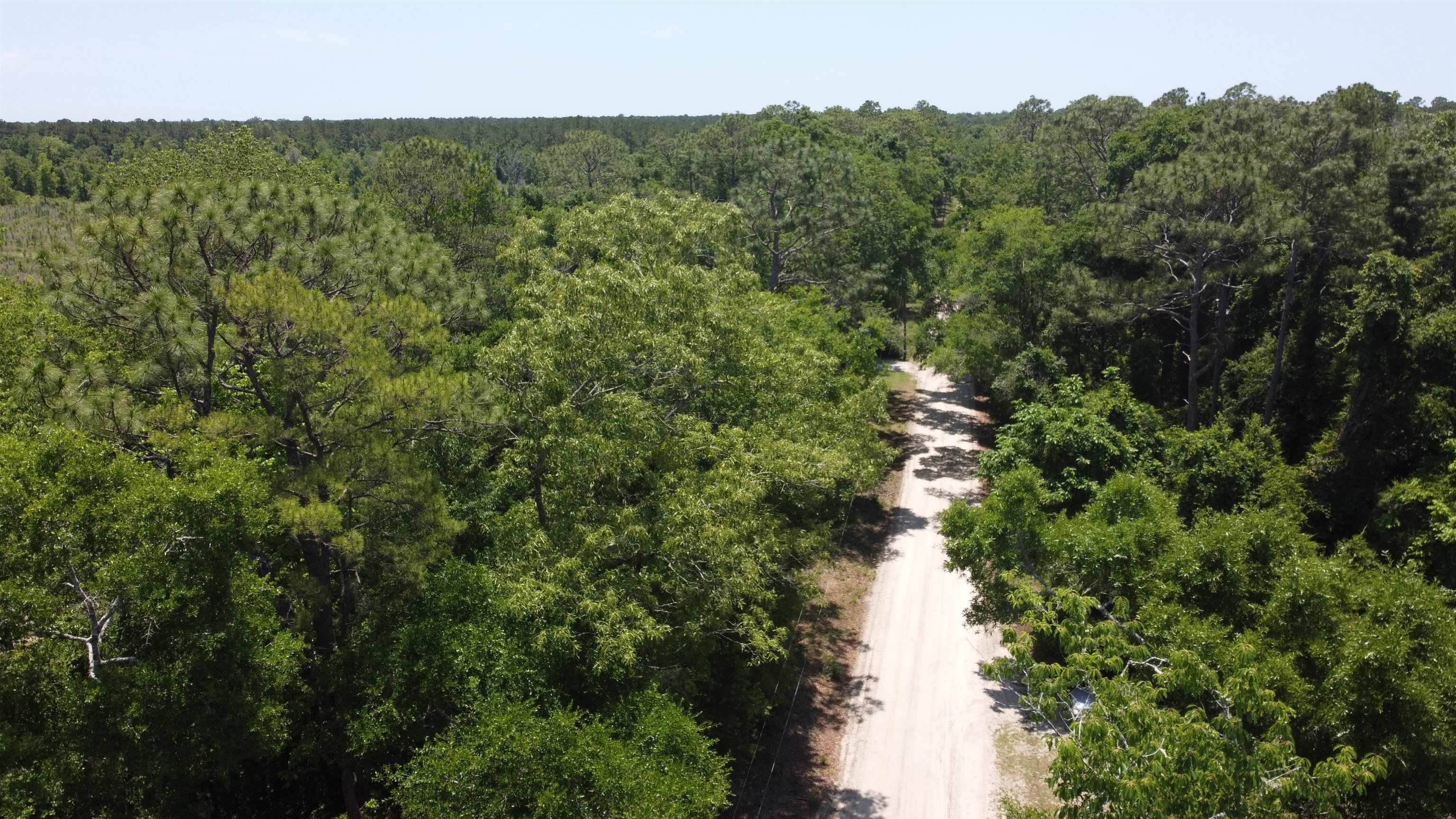 Xx Iroquois Road Crawfordville, FL 32327 - Photo 2 of 14