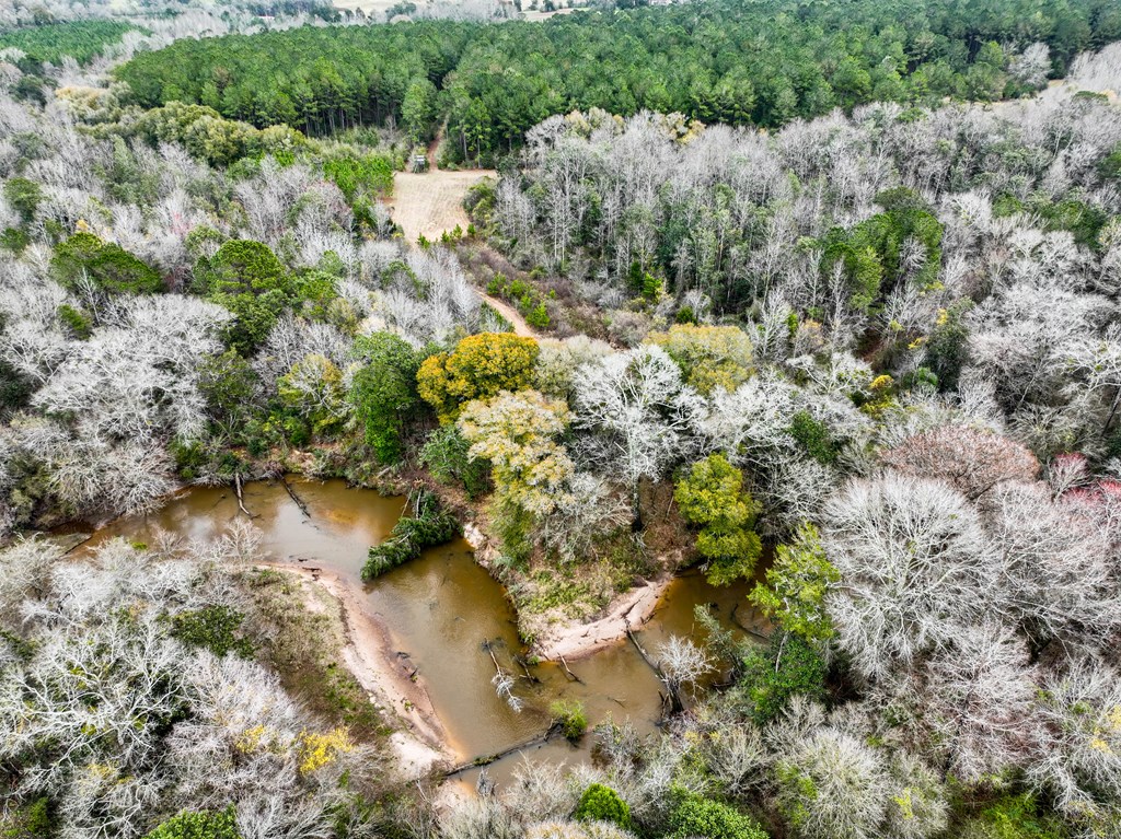 0 Double Creek Road Coffee Springs, AL 36318 - Photo 10 of 24