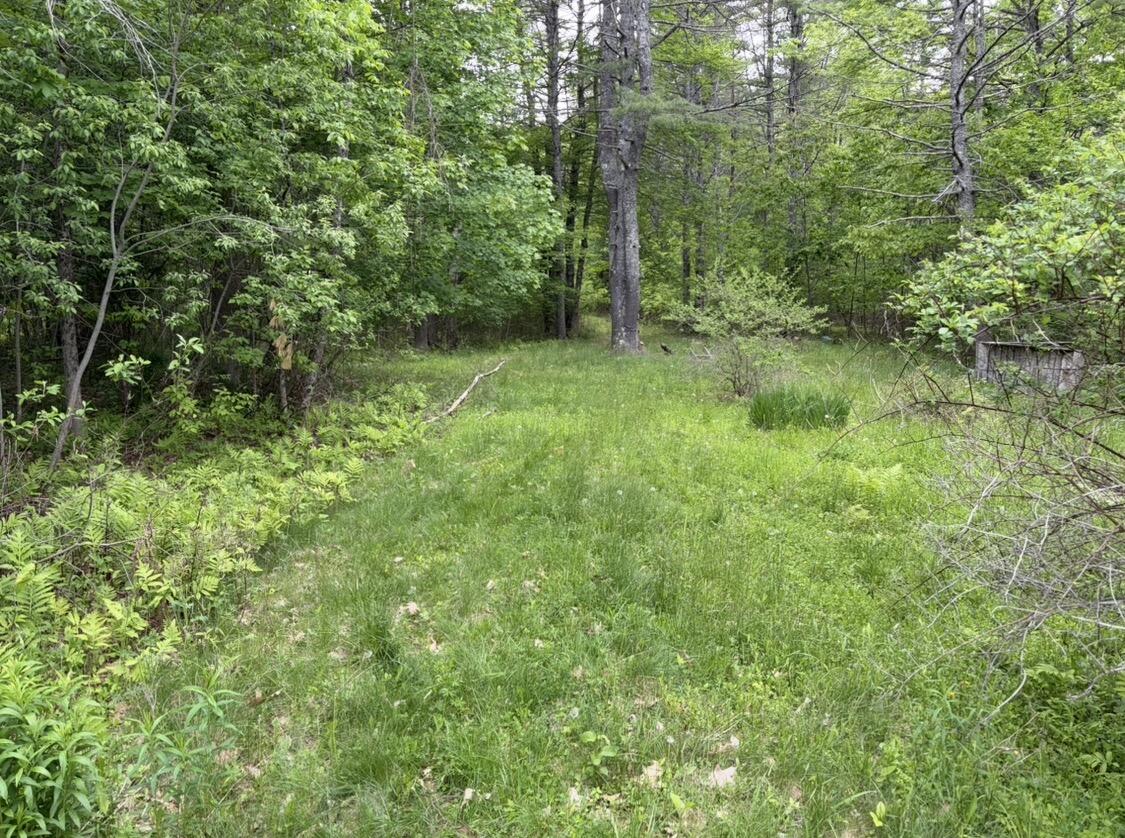 76 Neck Road South China, ME 04358 - Photo 9 of 15