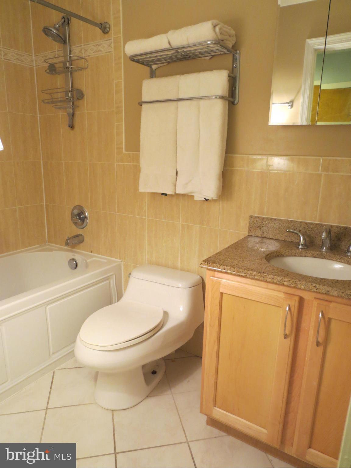 1437 Spring Road Northwest, Unit 15 Washington, DC 20010 - Photo 16 of 21 Bath
