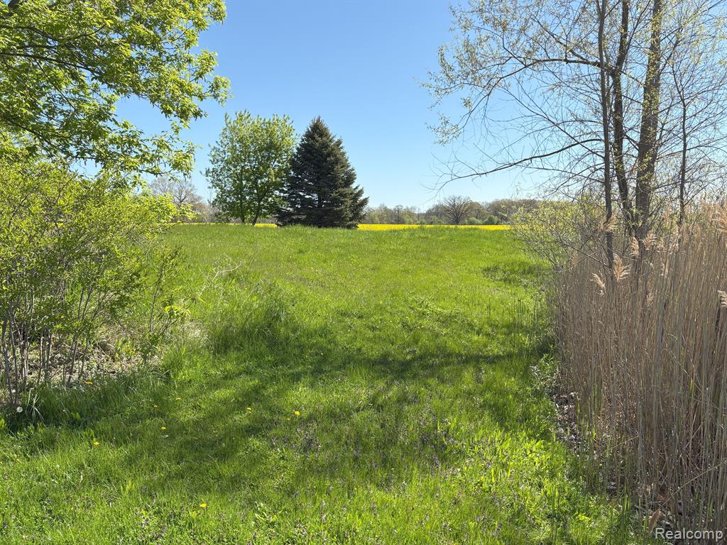 8327 Duffield Road Gaines, MI 48436 - Photo 19 of 24