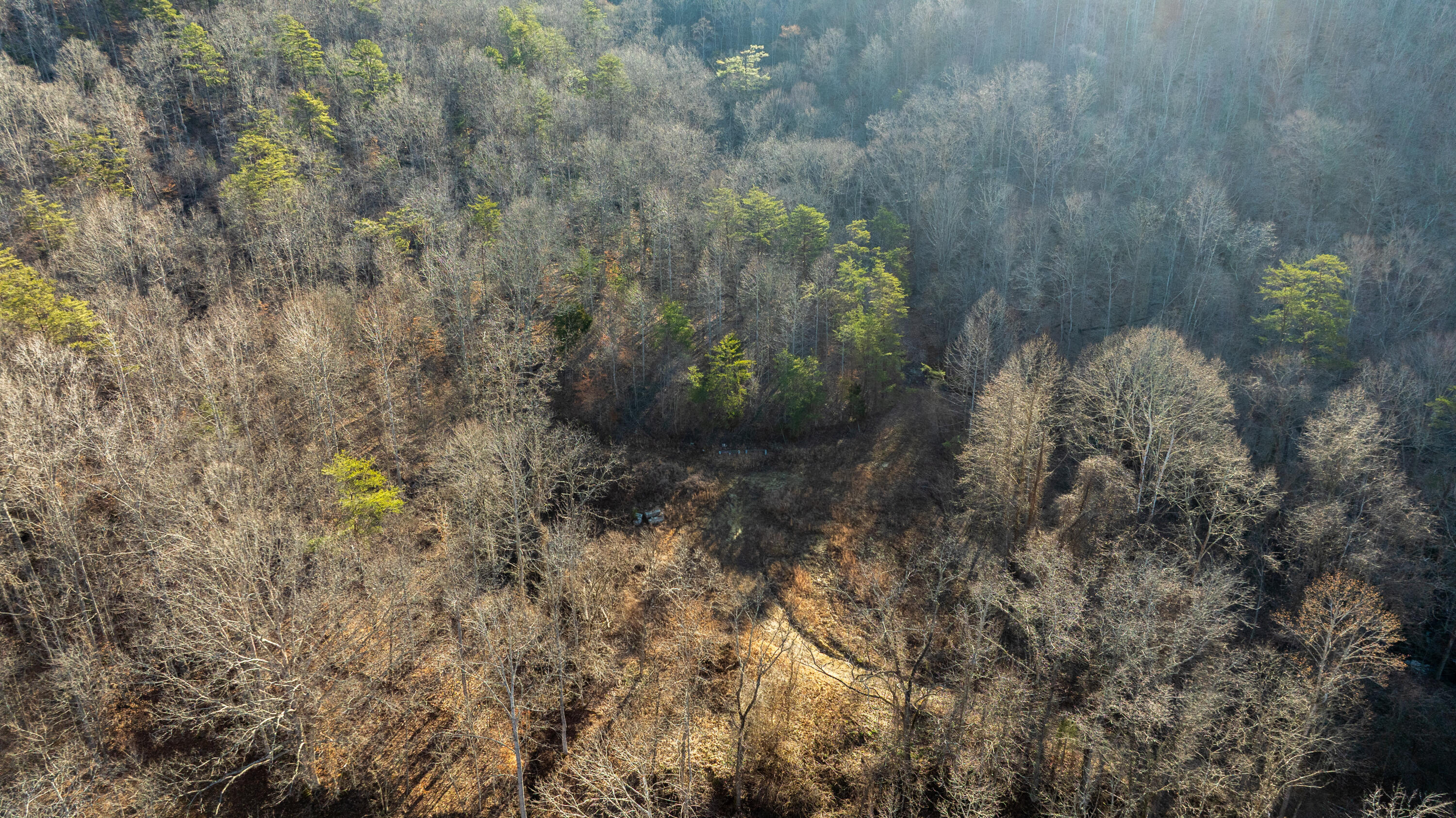 9999 North Bend Road Stanton, KY 40380 - Photo 40 of 84 040