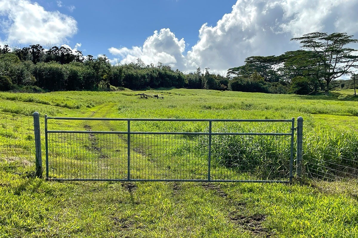 South Middle Road Pahoa, HI 96778 - Photo 11 of 30 Gallery Image 11