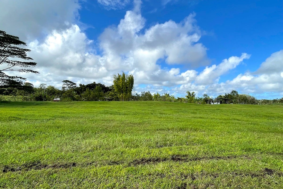 South Middle Road Pahoa, HI 96778 - Photo 12 of 30 Gallery Image 12