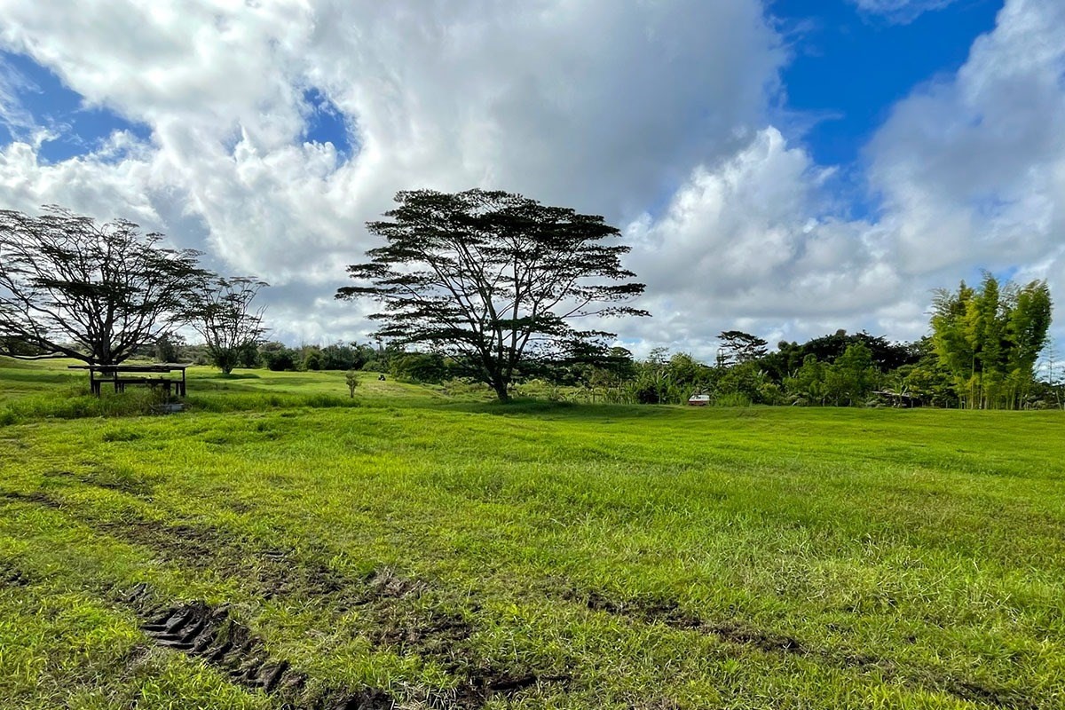 South Middle Road Pahoa, HI 96778 - Photo 13 of 30 Gallery Image 13