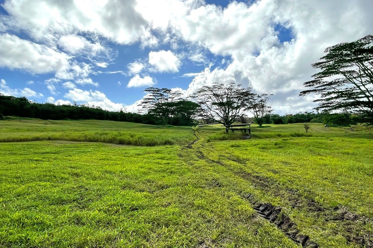 South Middle Road Pahoa, HI 96778 - Photo 14 of 30 Gallery Image 14