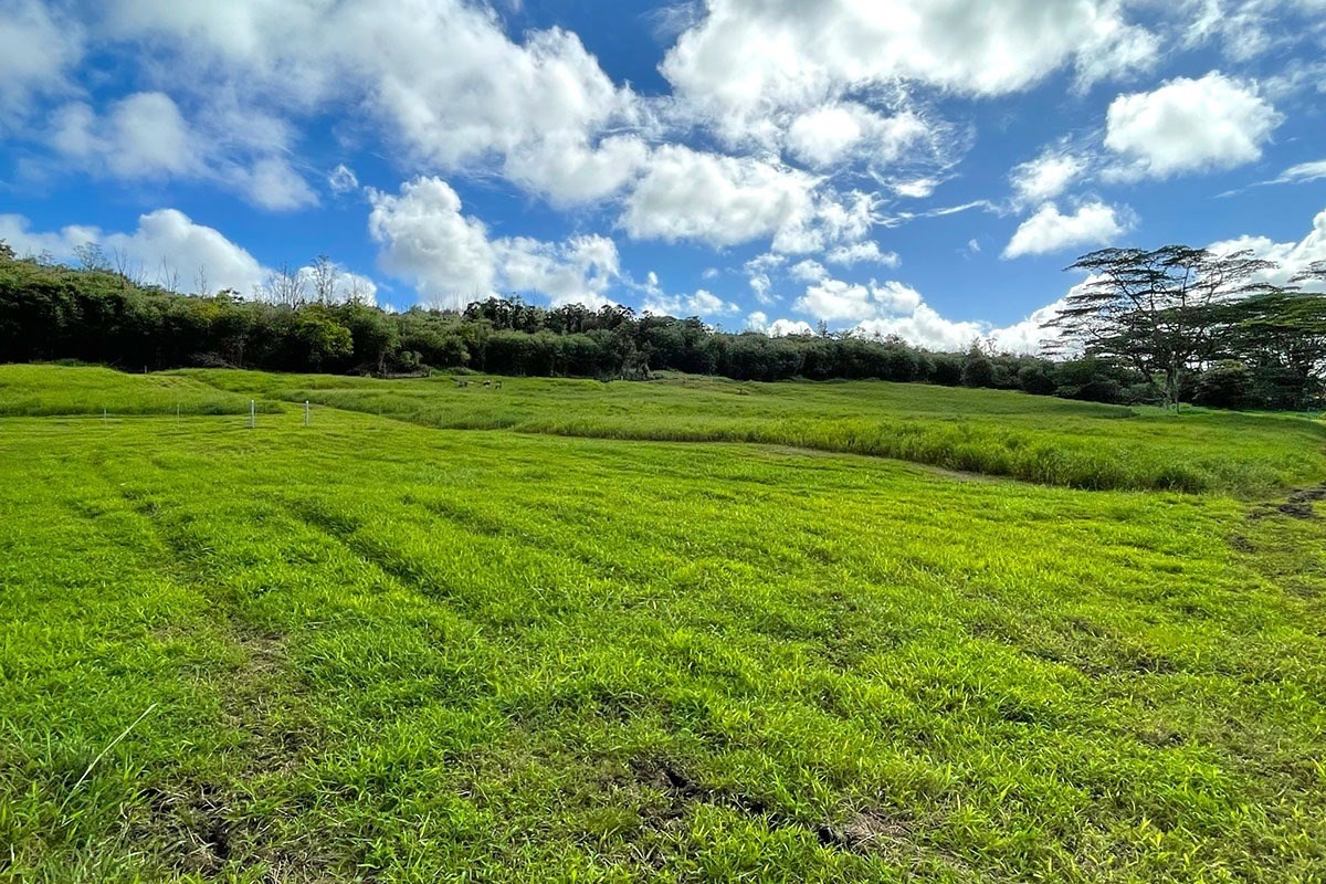 South Middle Road Pahoa, HI 96778 - Photo 15 of 30 Gallery Image 15