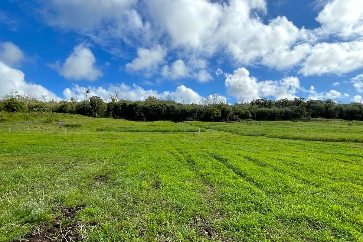 South Middle Road Pahoa, HI 96778 - Photo 16 of 30 Gallery Image 16
