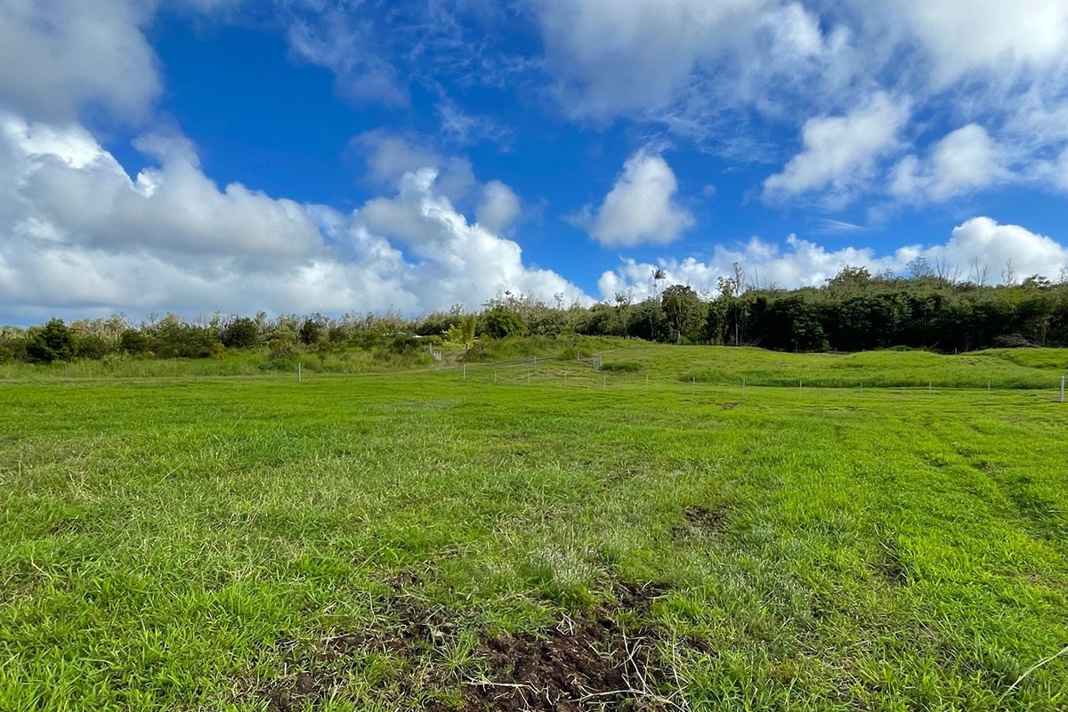 South Middle Road Pahoa, HI 96778 - Photo 17 of 30 Gallery Image 17