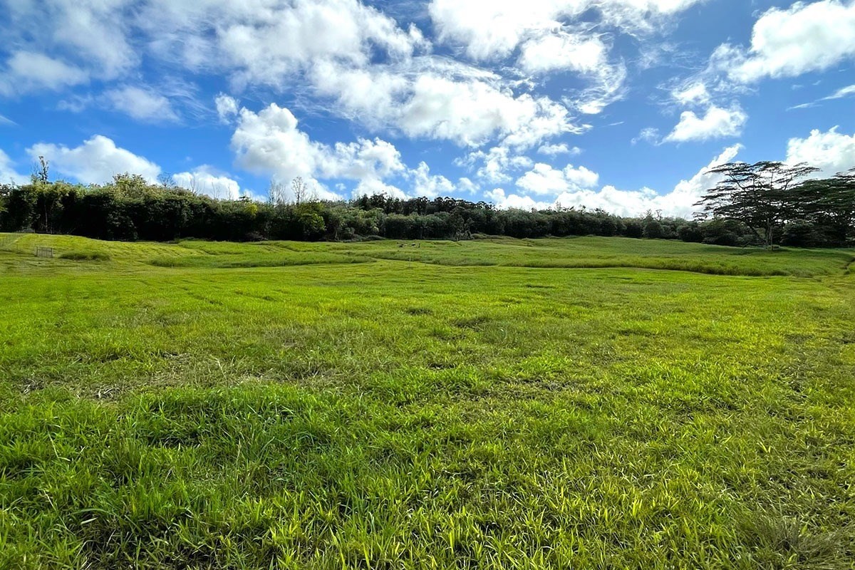 South Middle Road Pahoa, HI 96778 - Photo 18 of 30 Gallery Image 18