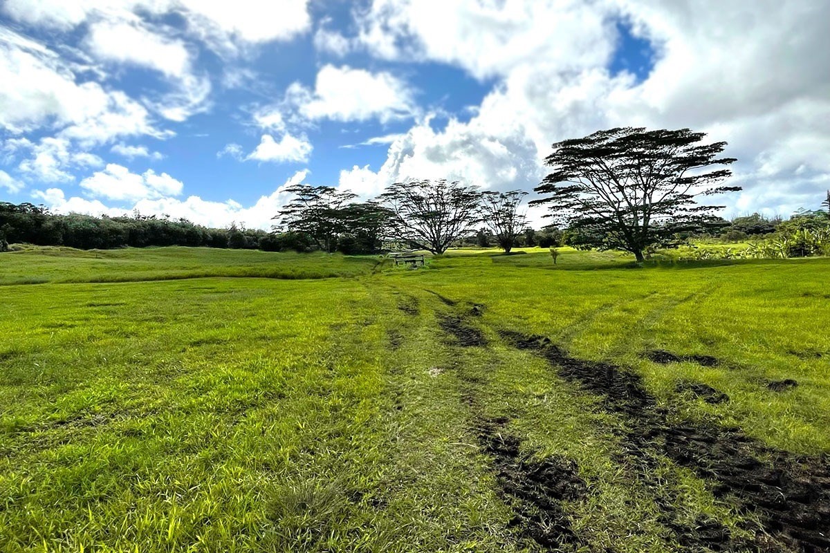 South Middle Road Pahoa, HI 96778 - Photo 19 of 30 Gallery Image 19