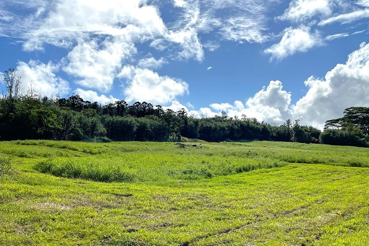 South Middle Road Pahoa, HI 96778 - Photo 21 of 30 Gallery Image 21