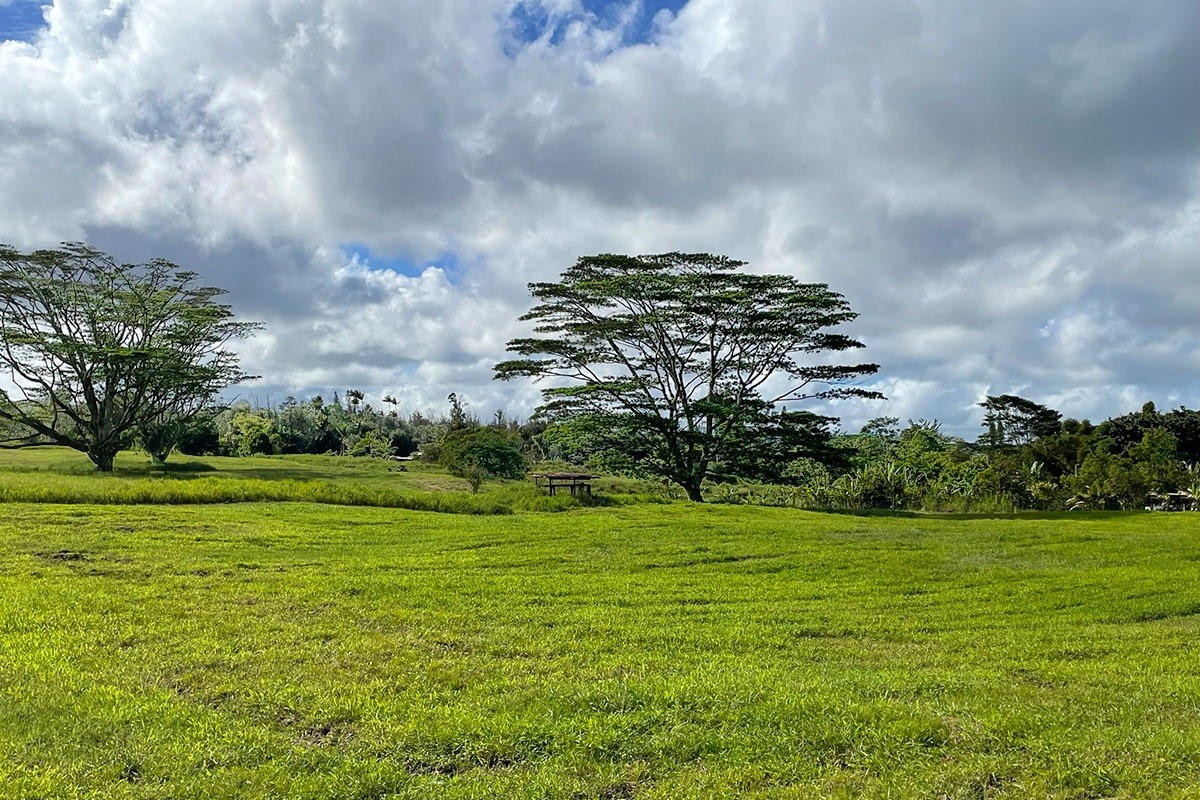 South Middle Road Pahoa, HI 96778 - Photo 22 of 30 Gallery Image 22