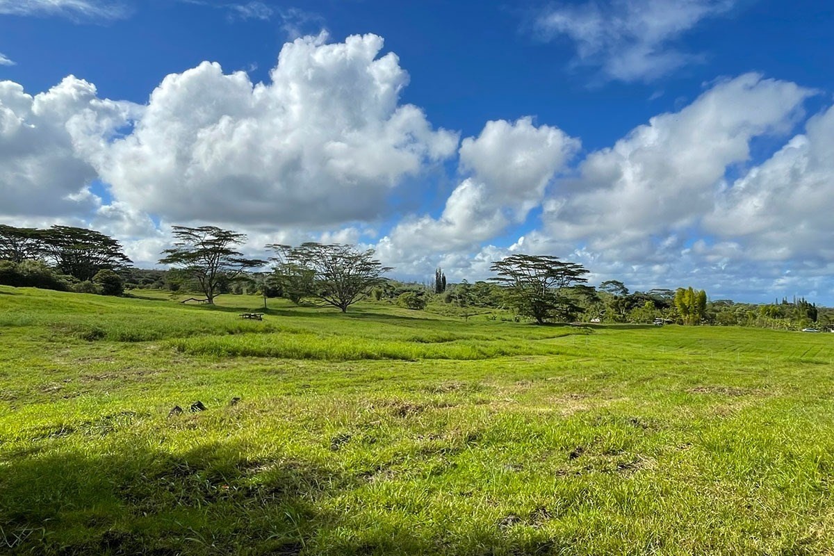 South Middle Road Pahoa, HI 96778 - Photo 23 of 30 Gallery Image 23