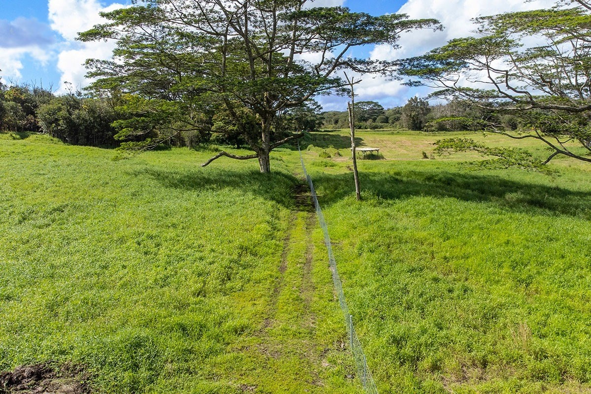 South Middle Road Pahoa, HI 96778 - Photo 24 of 30 Gallery Image 24