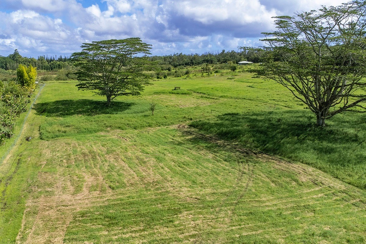 South Middle Road Pahoa, HI 96778 - Photo 26 of 30 Gallery Image 26