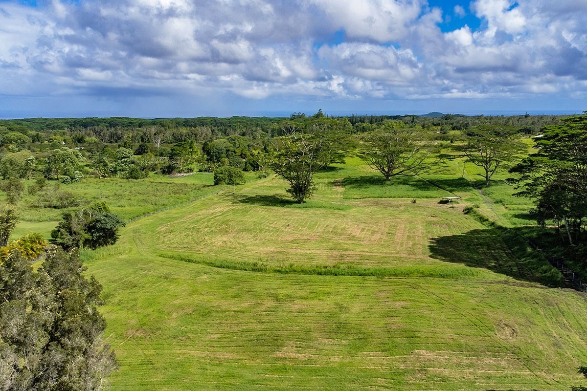South Middle Road Pahoa, HI 96778 - Photo 28 of 30 Gallery Image 28
