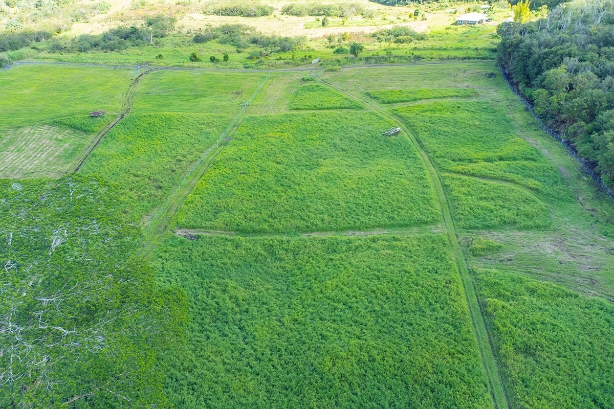 South Middle Road Pahoa, HI 96778 - Photo 30 of 30 Gallery Image 30