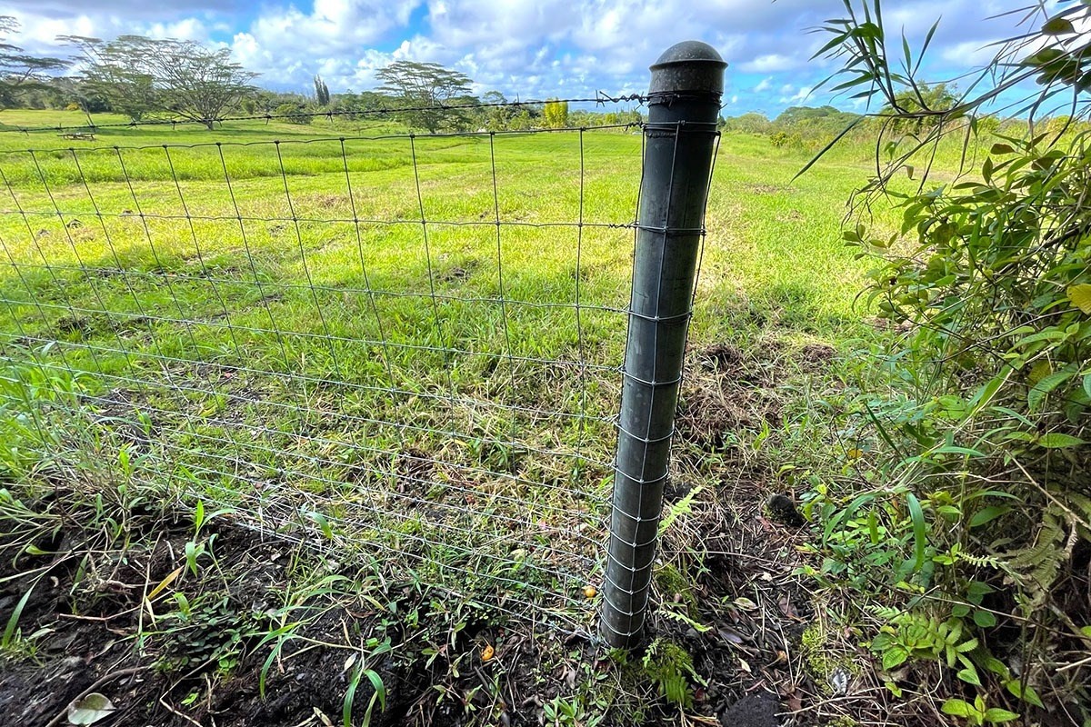 South Middle Road Pahoa, HI 96778 - Photo 8 of 30 Gallery Image 8