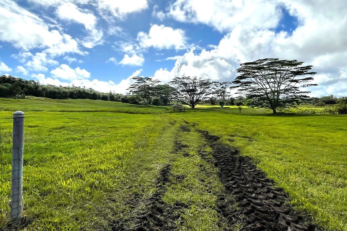 South Middle Road Pahoa, HI 96778 - Photo 9 of 30 Gallery Image 9
