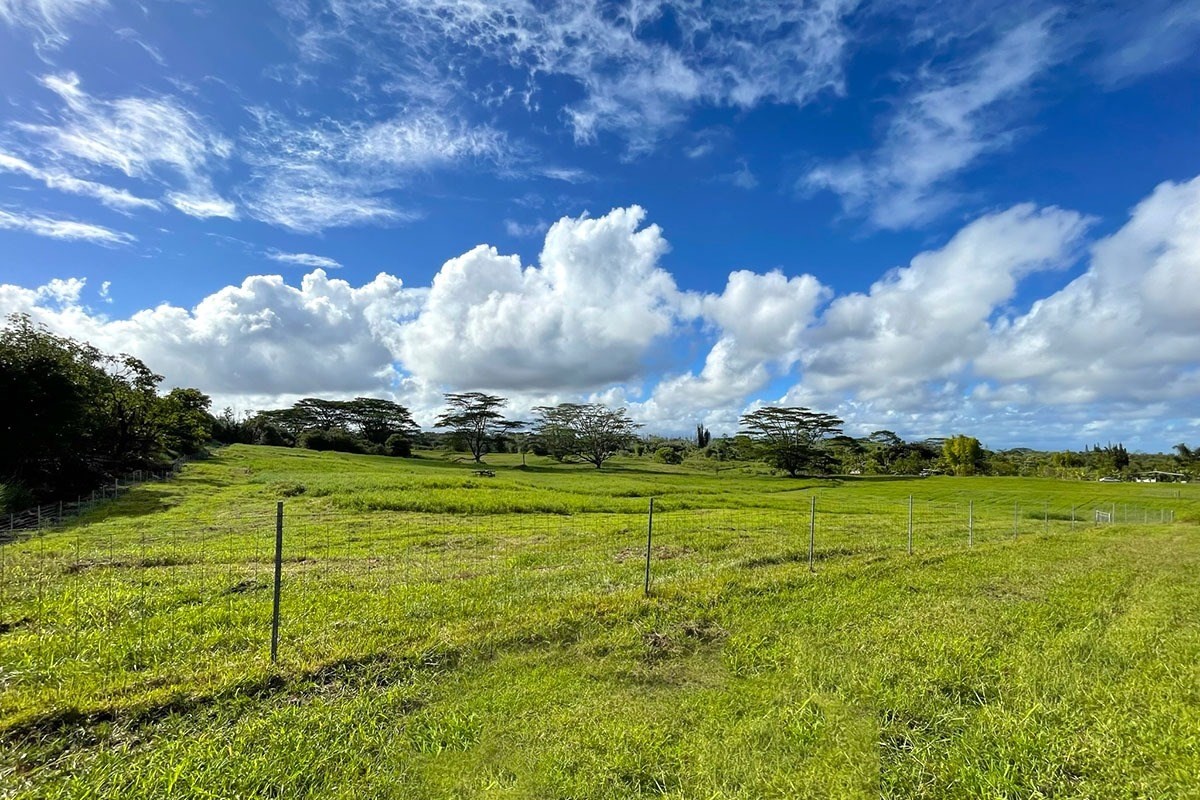 South Middle Road Pahoa, HI 96778 - Photo 10 of 30 Gallery Image 10