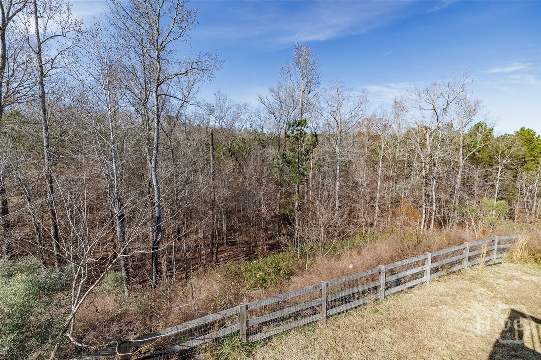 141 Misty Grove Lane Eatonton, GA 31024 - Photo 33 of 46 Backyard - View 2