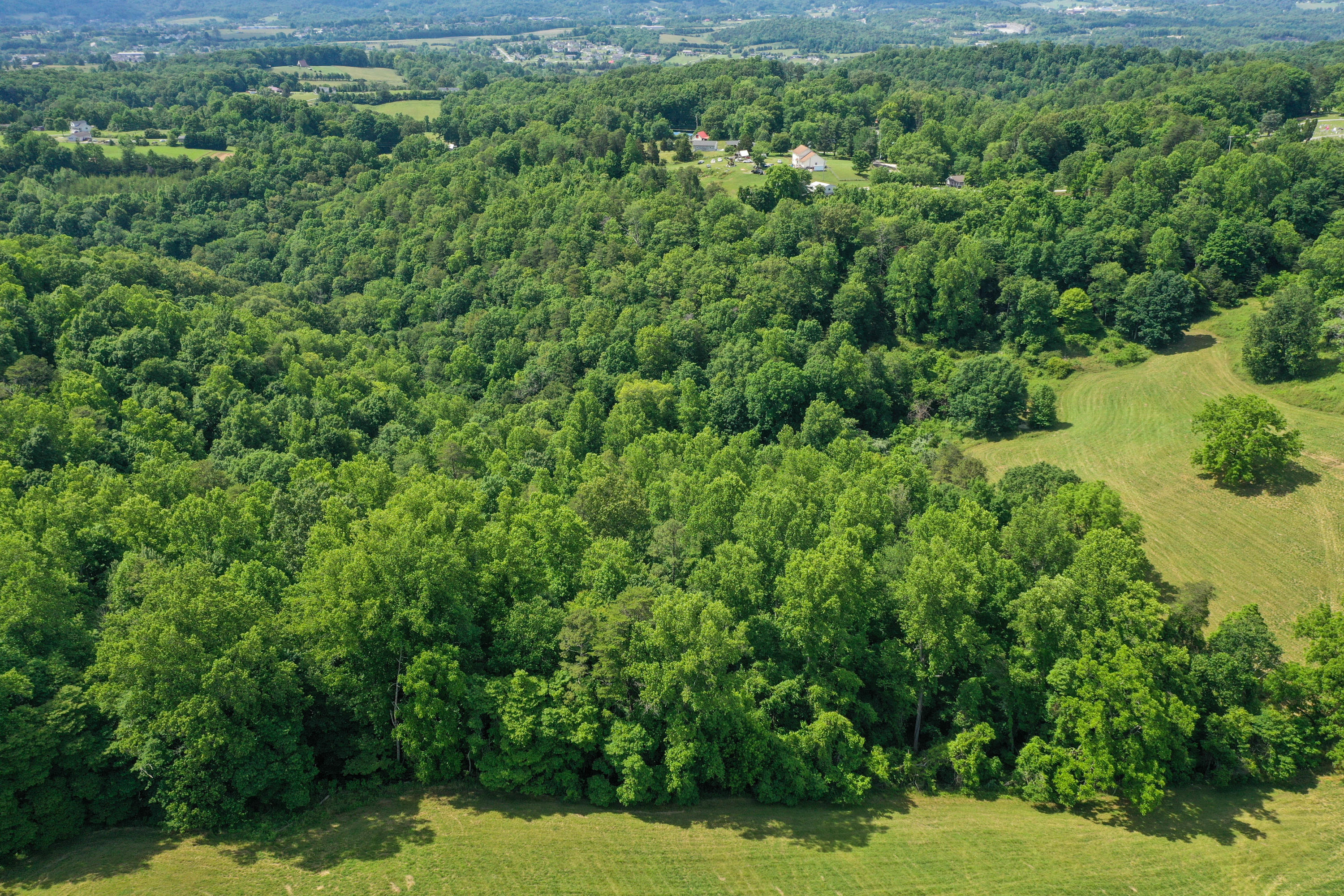 1260 Pinecrest Road Jacksboro, TN 37757 - Photo 11 of 28 DJI_0509