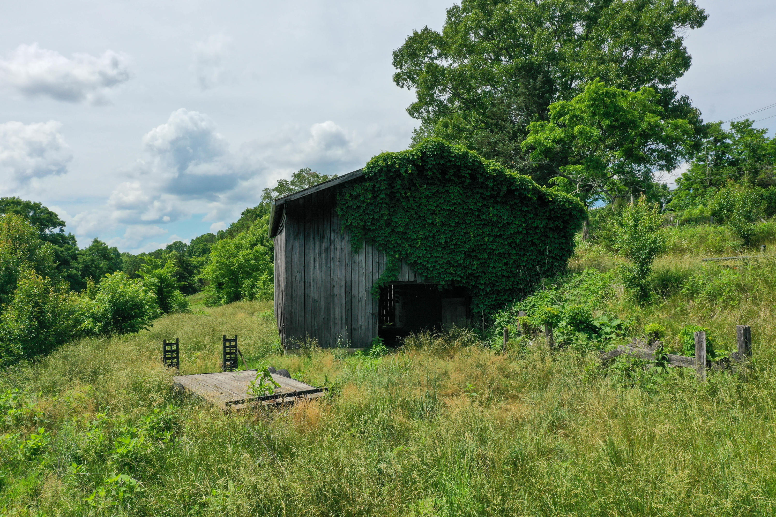 1260 Pinecrest Road Jacksboro, TN 37757 - Photo 12 of 28 DJI_0497