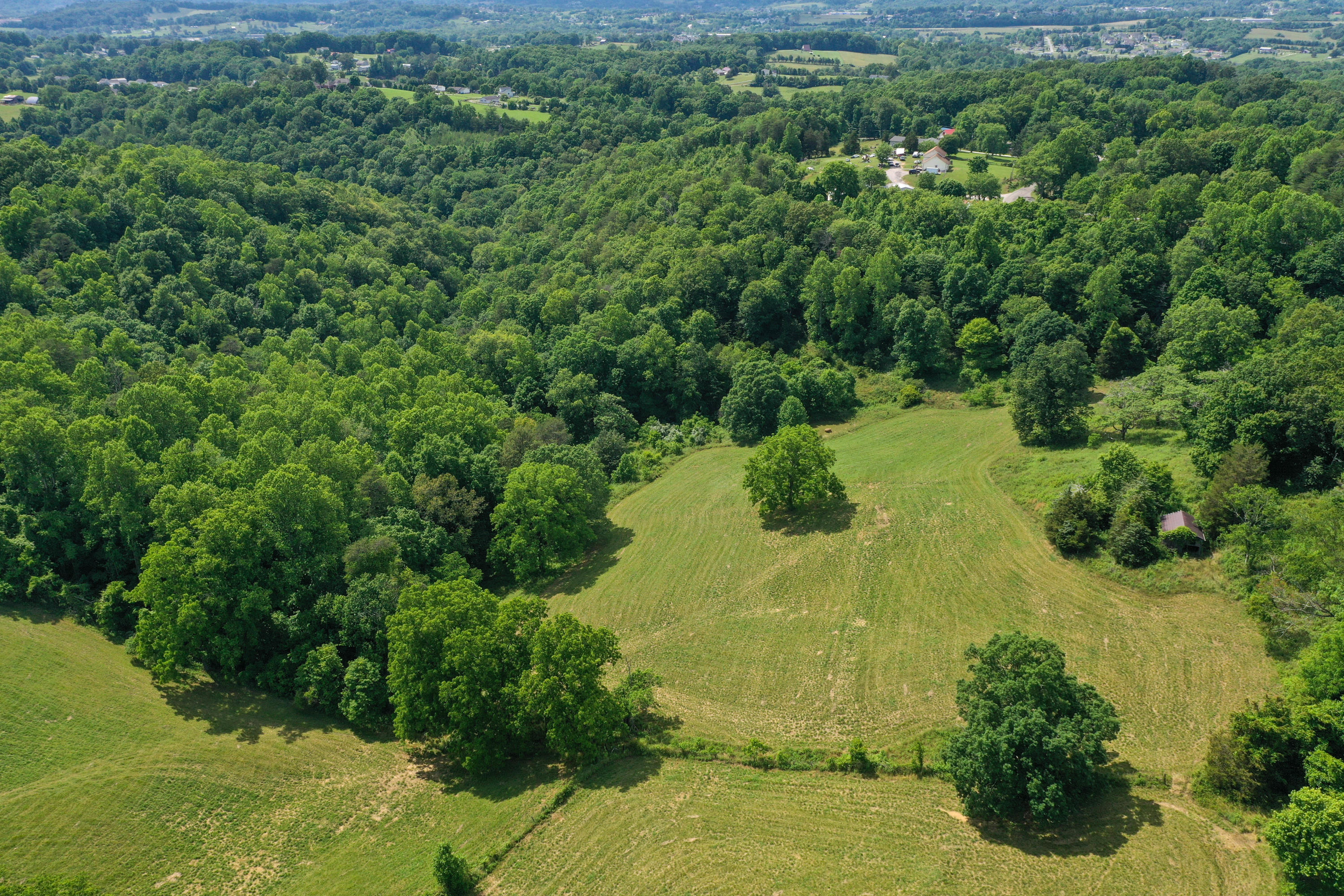 1260 Pinecrest Road Jacksboro, TN 37757 - Photo 7 of 28 DJI_0506
