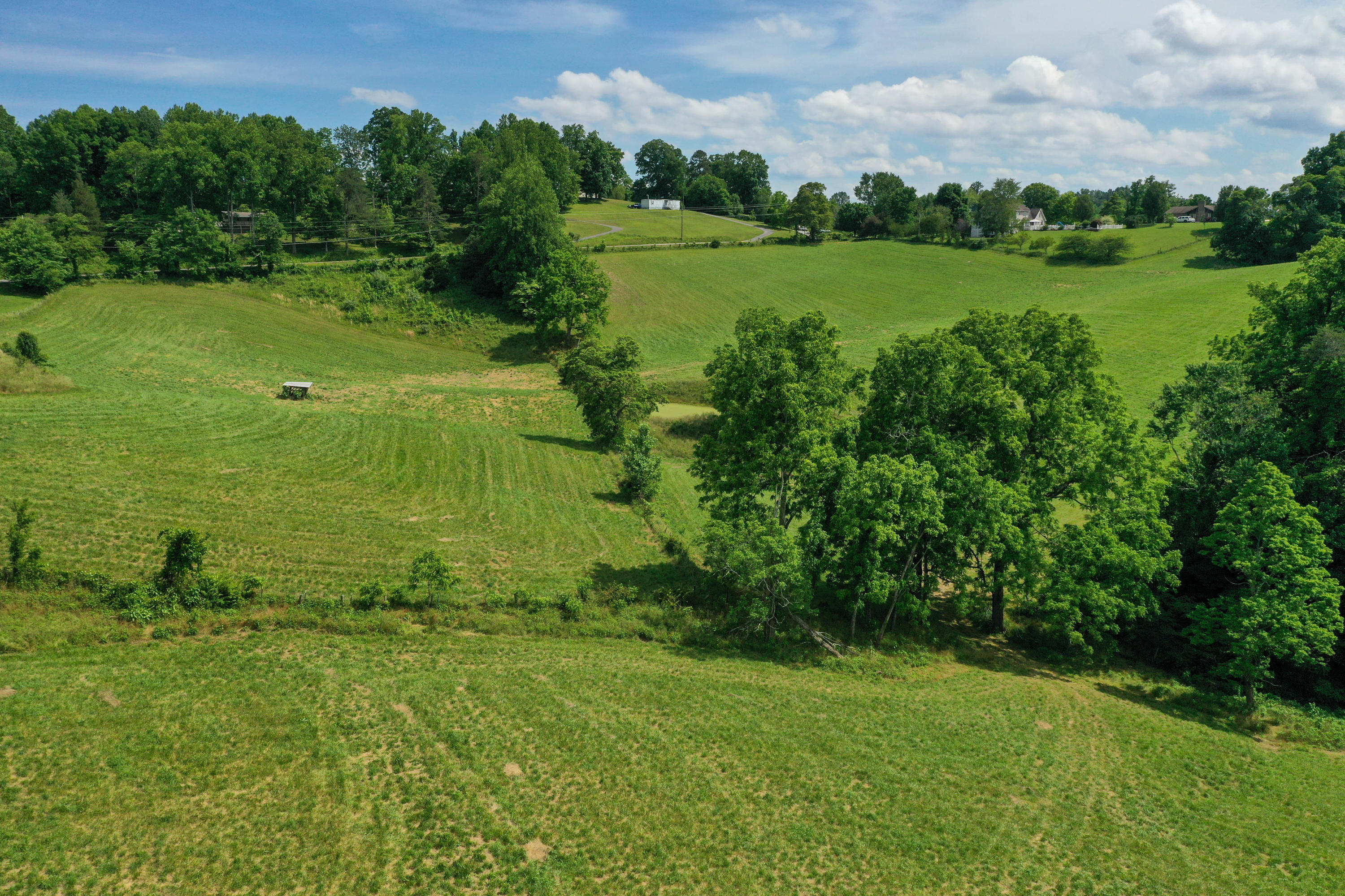 1260 Pinecrest Road Jacksboro, TN 37757 - Photo 8 of 28 DJI_0516